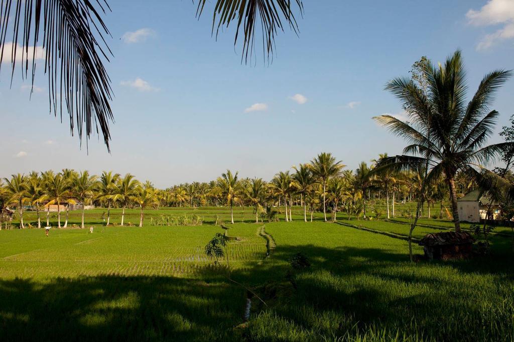 Puri Bebengan Bungalows Ubud Eksteriør bilde